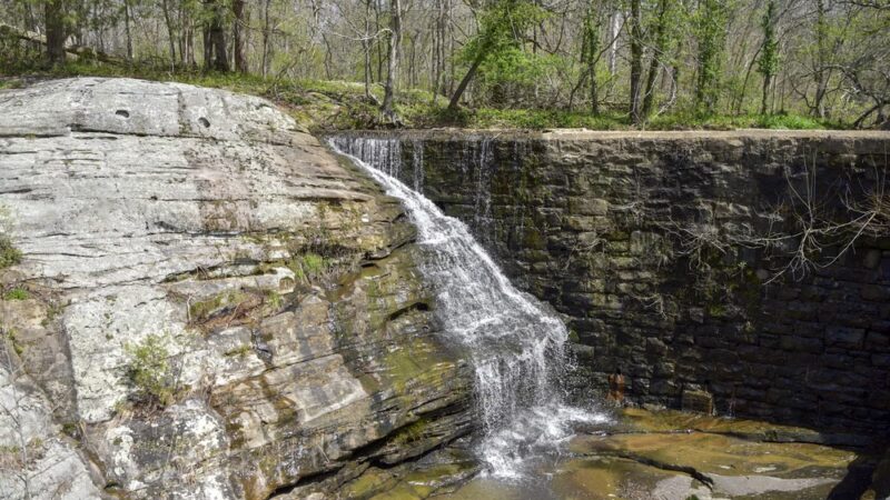 Dixon Springs State Park - Golconda, IL