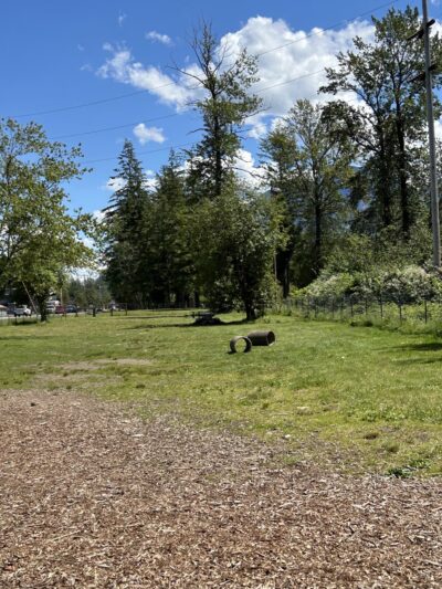 Gold Bar Off Leash Area - Gold Bar, WA