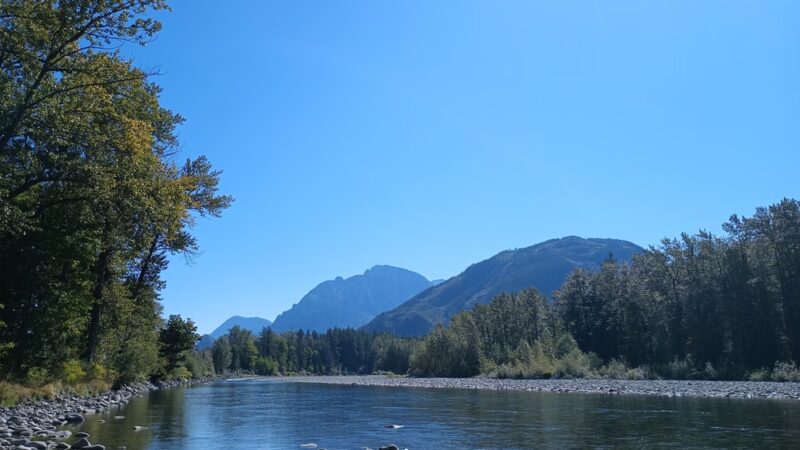Gold Bar Off Leash Area - Gold Bar, WA