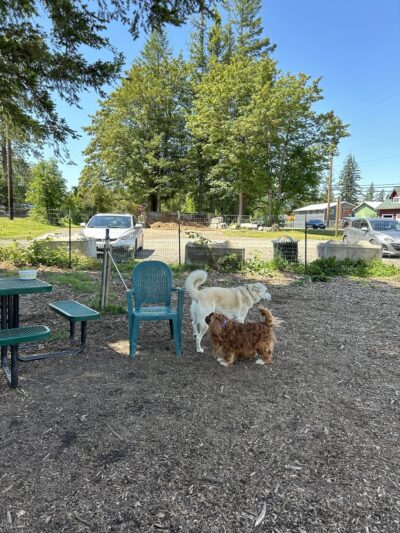 Gold Bar Off Leash Area - Gold Bar, WA