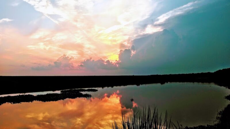 Oak Ridge Community Park - Golden Meadow, LA