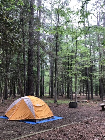 Cloud Crossing Campground - Goldonna, LA