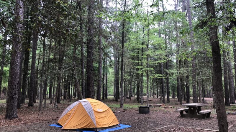 Cloud Crossing Campground - Goldonna, LA