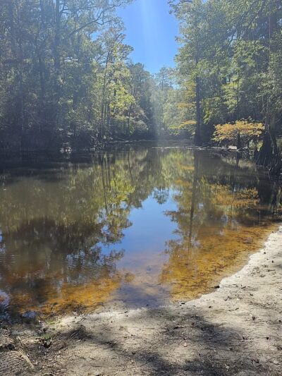 Cloud Crossing Campground - Goldonna, LA