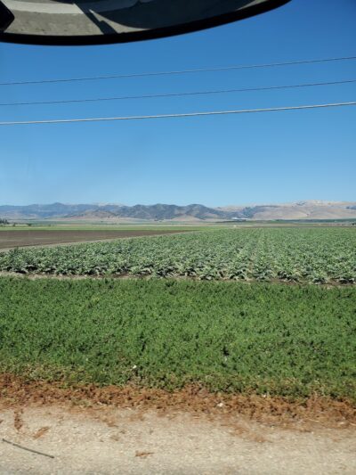 Canyon Creek Park - Gonzales, CA