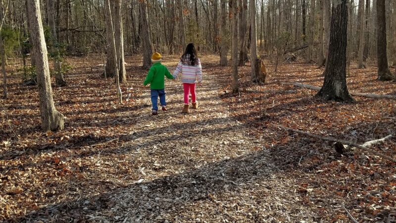 Matthews Park - Goochland, VA