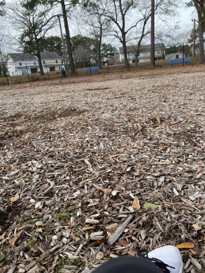 Dog park - Goose Creek, SC