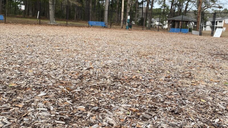 Dog park - Goose Creek, SC