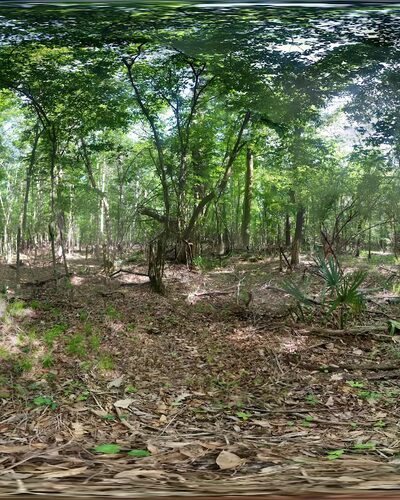 Oak Creek Park - Goose Creek, SC