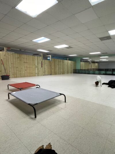 The Bark Park - Doggie Daycare • Boarding • Grooming - Goose Creek, SC