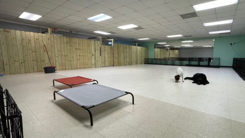 The Bark Park - Doggie Daycare • Boarding • Grooming - Goose Creek, SC