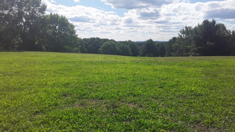 Fort Hill Park - Gorham, ME