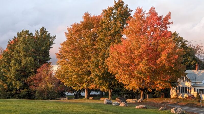 Fort Hill Park - Gorham, ME