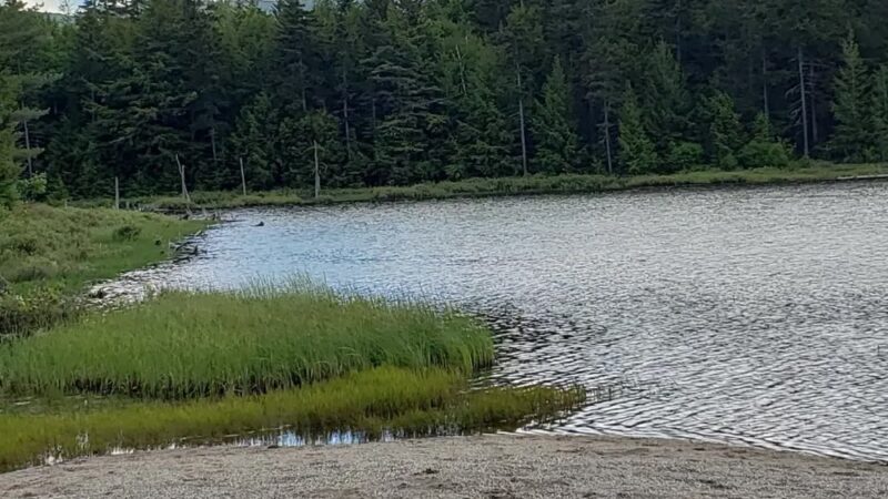 Appalachian/Mahoosuc Trail Access - Gorham, NH