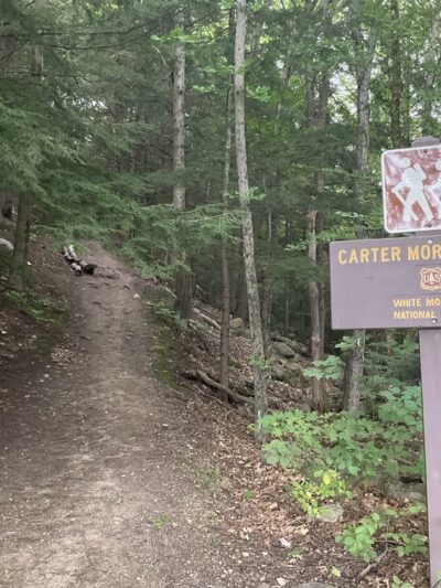 Carter-Moriah Trailhead (Bangor Street) - Gorham, NH