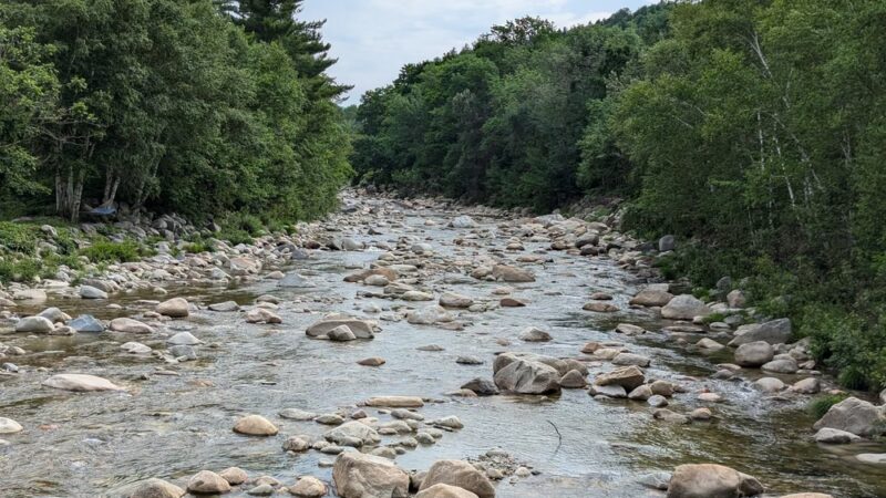 Carter-Moriah Trailhead (Bangor Street) - Gorham, NH