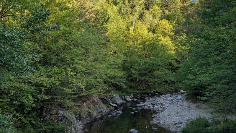 Coos Trails Trailhead - Gorham, NH