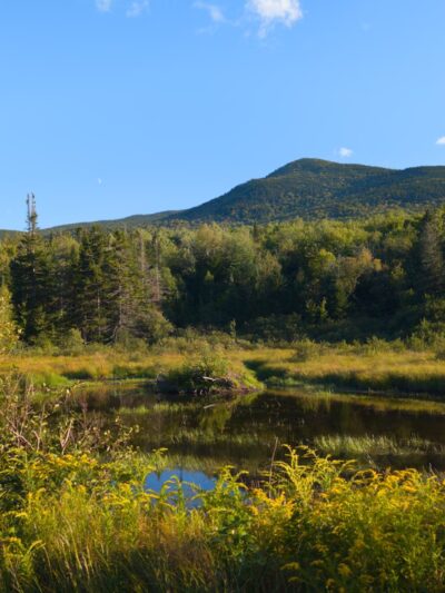 Coos Trails Trailhead - Gorham, NH