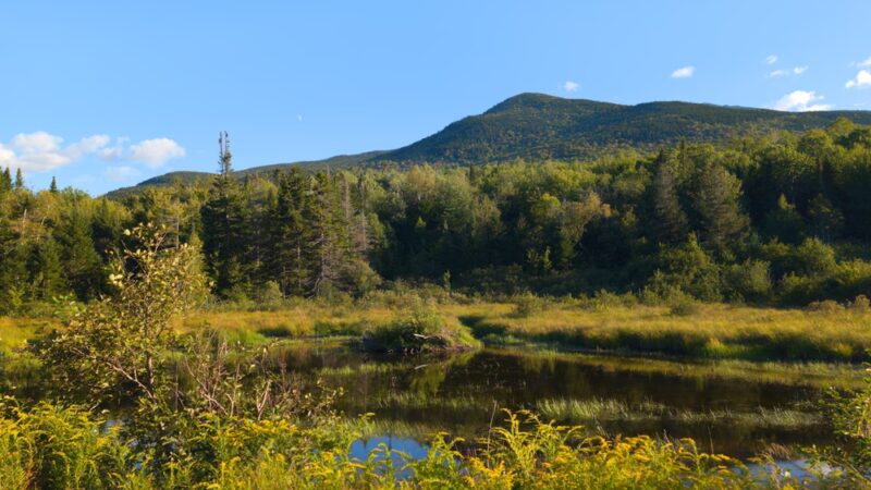 Coos Trails Trailhead - Gorham, NH