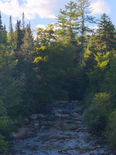 Coos Trails Trailhead - Gorham, NH