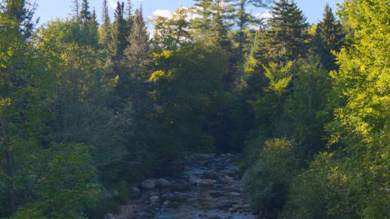 Coos Trails Trailhead - Gorham, NH