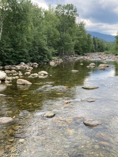 Dolly Copp Picnic Area - Gorham, NH