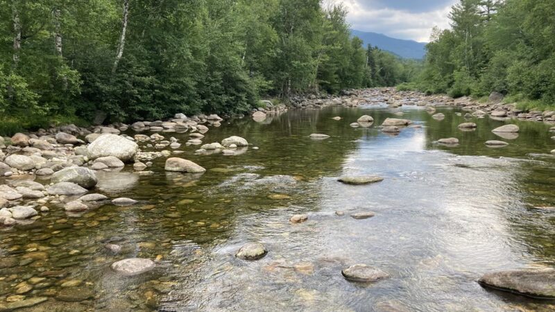 Dolly Copp Picnic Area - Gorham, NH