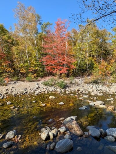 Dolly Copp Picnic Area - Gorham, NH