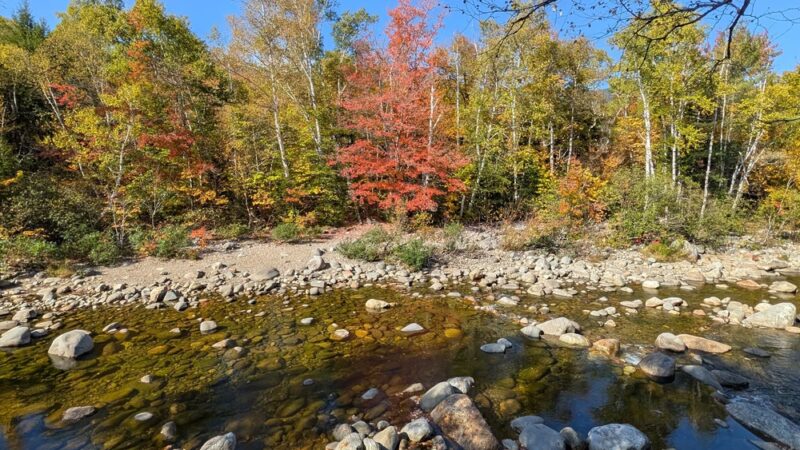 Dolly Copp Picnic Area - Gorham, NH