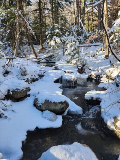 Great Gulf Wilderness Trailhead - Gorham, NH