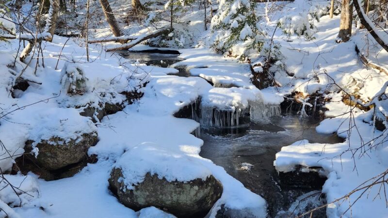 Great Gulf Wilderness Trailhead - Gorham, NH