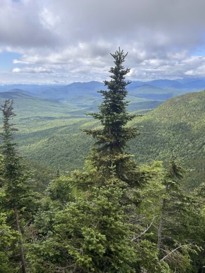 Nineteen Mile Brook Trailhead - Gorham, NH