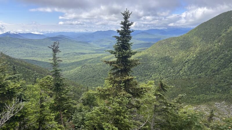 Nineteen Mile Brook Trailhead - Gorham, NH