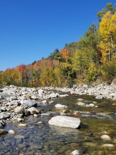 Stony Brook Trailhead - Gorham, NH