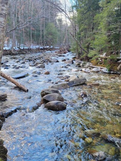 Stony Brook Trailhead - Gorham, NH