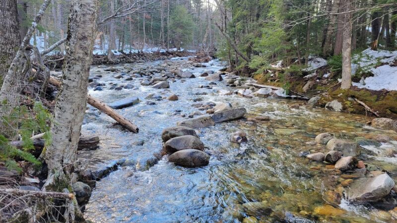 Stony Brook Trailhead - Gorham, NH
