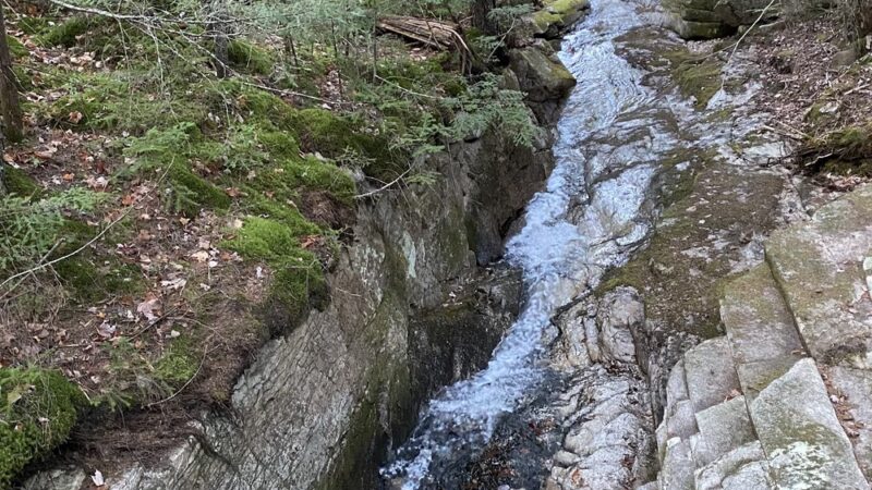 Stony Brook Trailhead - Gorham, NH
