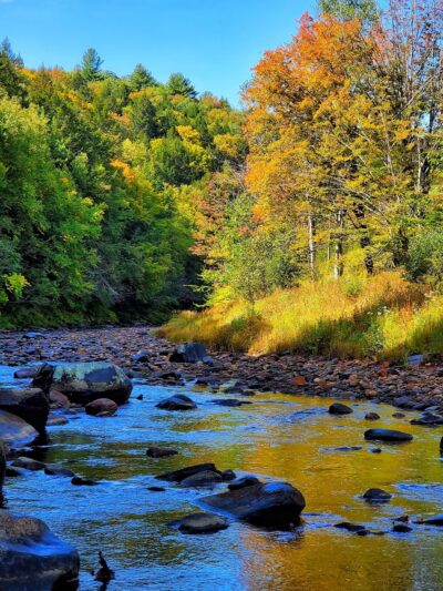 Goshen - Goshen, MA
