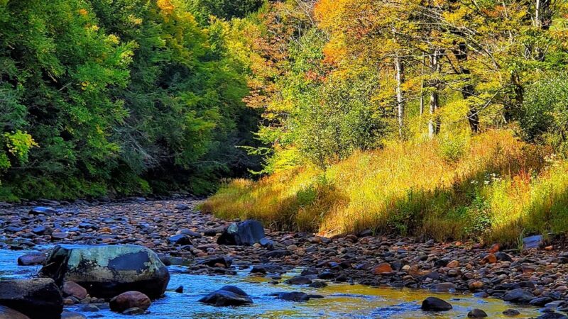Goshen - Goshen, MA