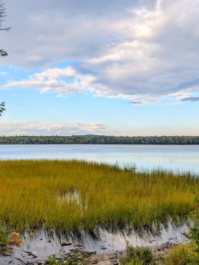 Forbes Pond Preserve - Gouldsboro, ME