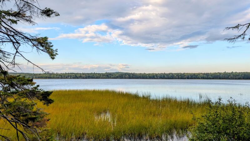 Forbes Pond Preserve - Gouldsboro, ME