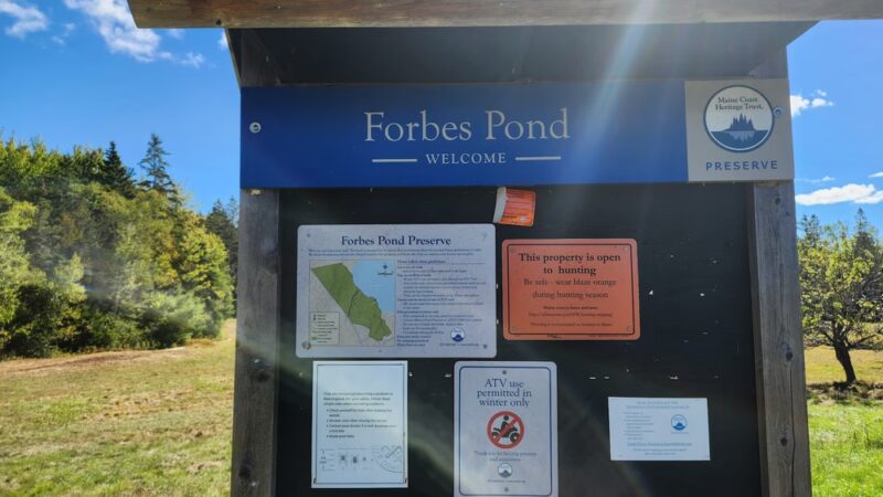 Forbes Pond Preserve - Gouldsboro, ME
