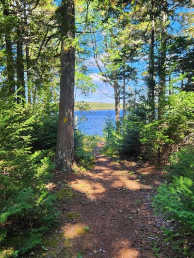 Forbes Pond Preserve - Gouldsboro, ME