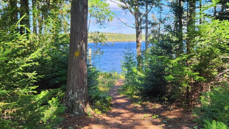 Forbes Pond Preserve - Gouldsboro, ME