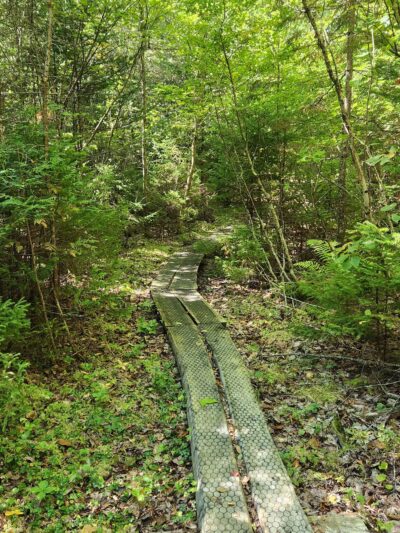 Forbes Pond Preserve - Gouldsboro, ME