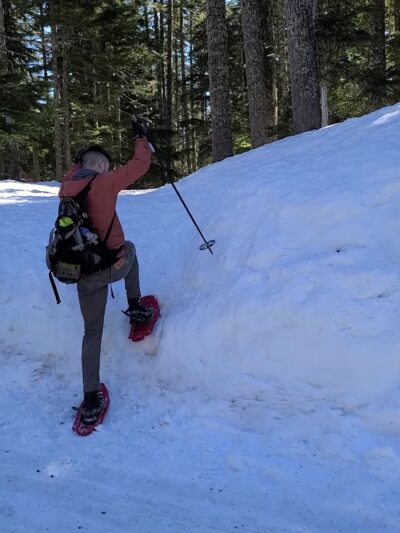 Barlow Pass Trailhead and Sno Park - Government Camp, OR