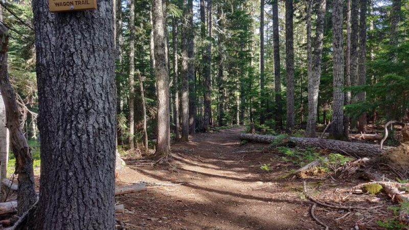 Barlow Pass Trailhead and Sno Park - Government Camp, OR