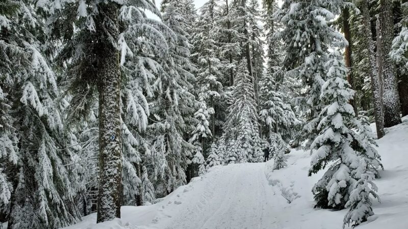 Government Camp Highway Maintenance Sno Park - Government Camp, OR