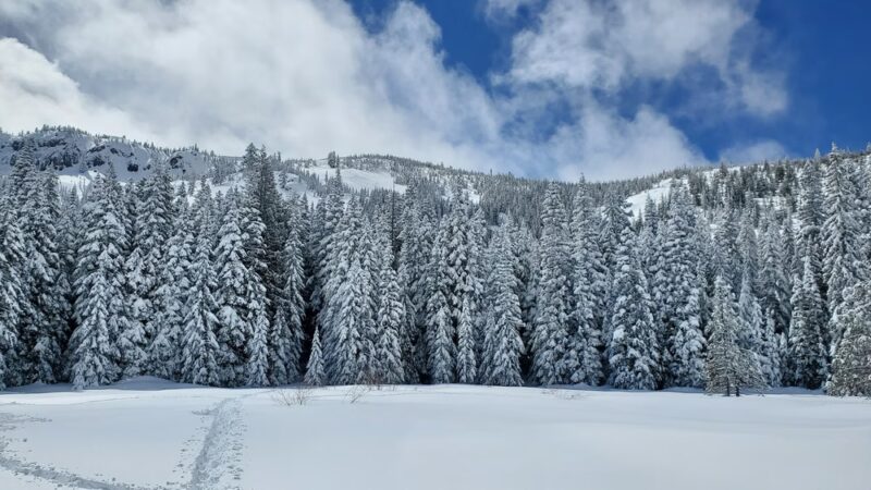 Mirror Lake Trailhead OR - Government Camp, OR