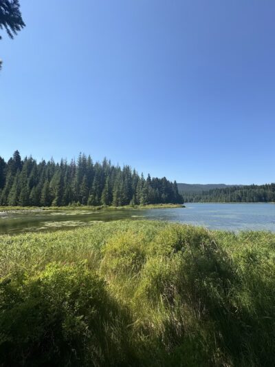 Timothy Lake (PGE) Trailhead - Government Camp, OR